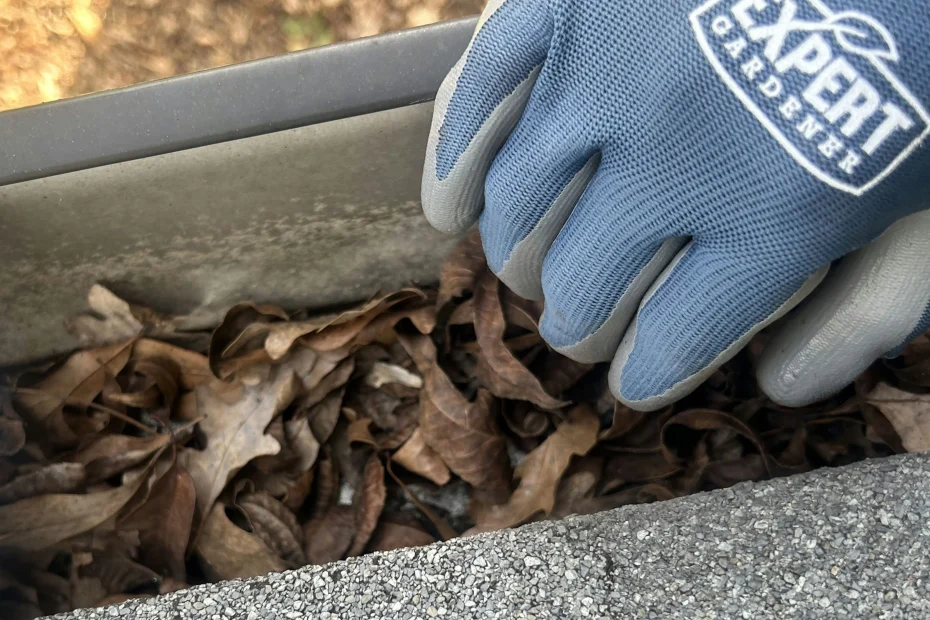 Gutter Cleaning West Chester